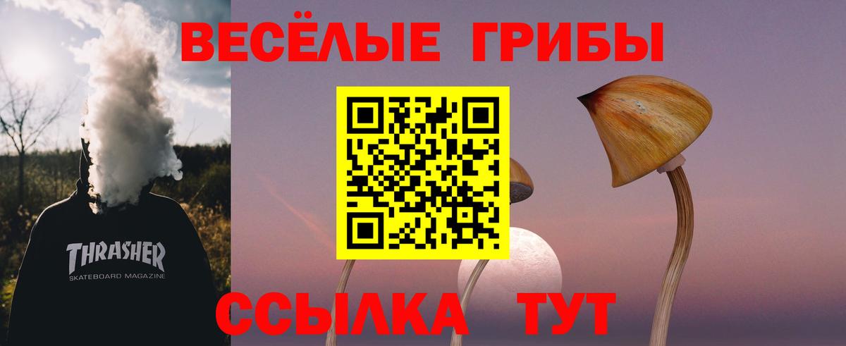 Тольятти  где можно купить наркотик  Вход с VPN  Псилоцибиновые грибы мухоморы 